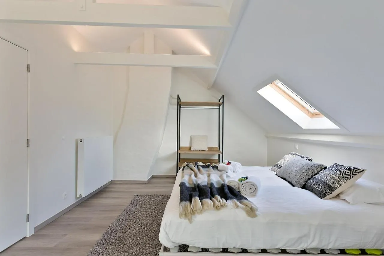 Spacious And Beautifully Renovated Town Houseブルージュ 0*, ブルージュ